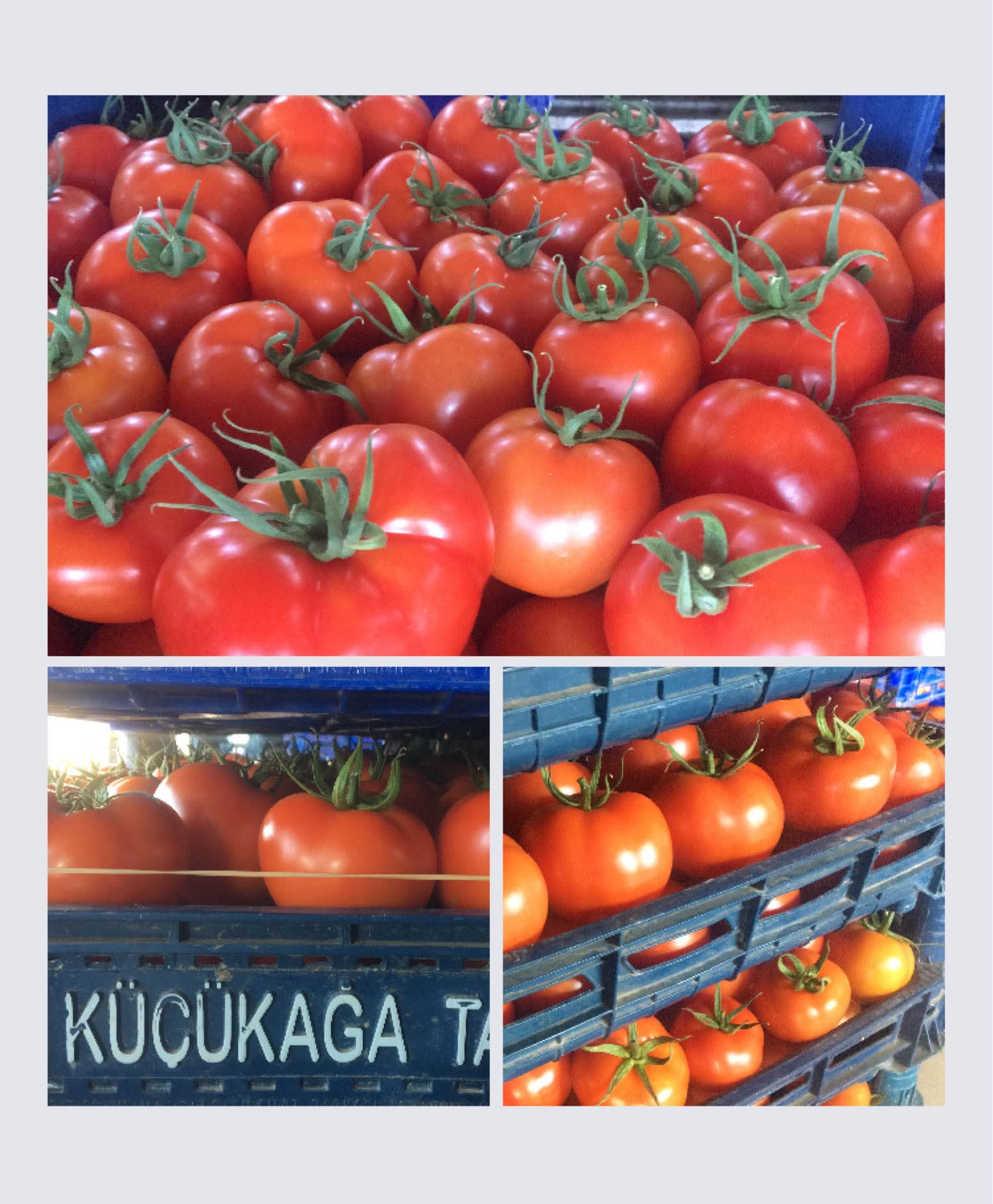 Domates Detay Resmi